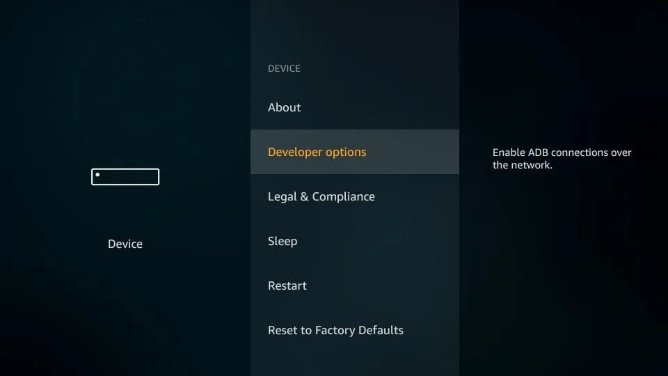 developer options